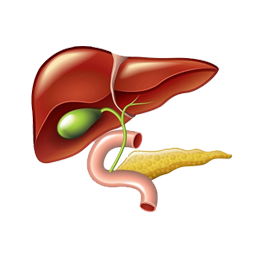 Gallstone Treatment by Laparoscopic Surgeon in Mumbai